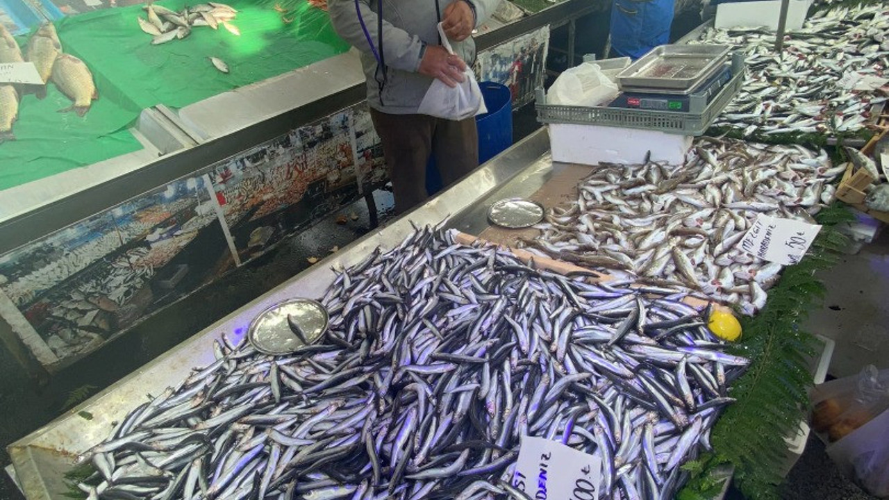 İsmail Saymaz hamsinin fiyatını paylaştı. Görenlerin gözleri büyüdü. Bu gidişle vatandaş hamsiyi ''hamsi kavağa çıktığında'' yer