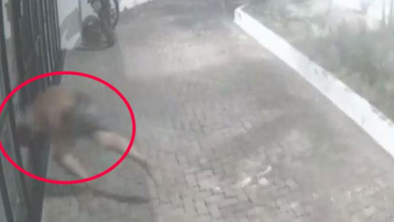 Sapık komşudan kadın bakın nasıl kurtuldu