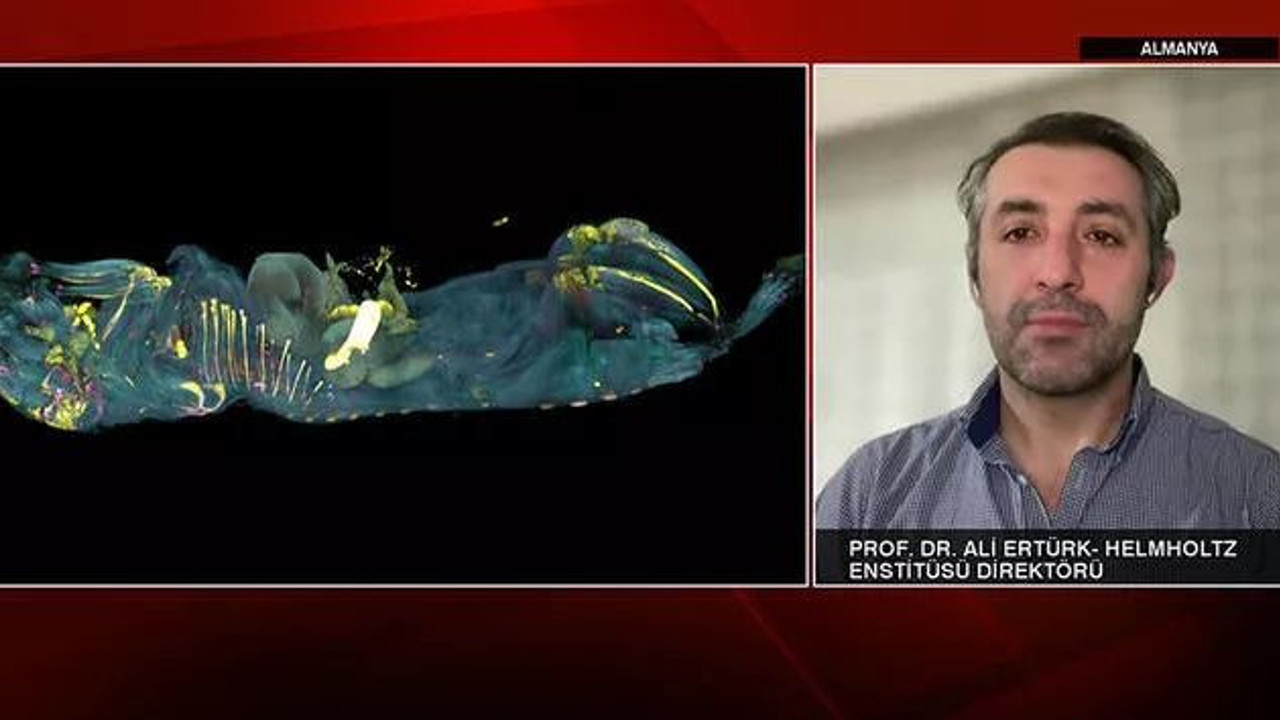 Türk bilim insanından çığır açacak yeni yöntem. Tedavisi bulunmayan hastalıklar tarihe karışabilir