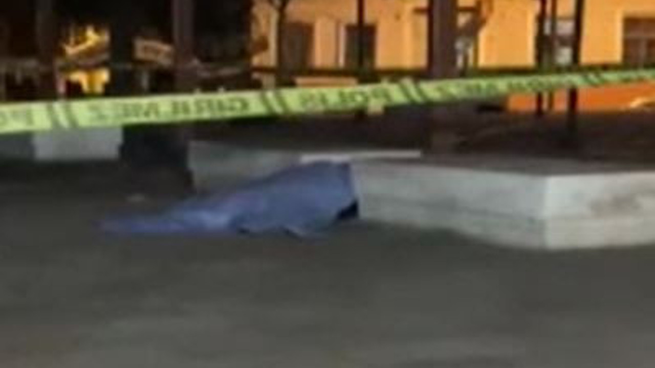 Bimekan şahıs parkta öldü