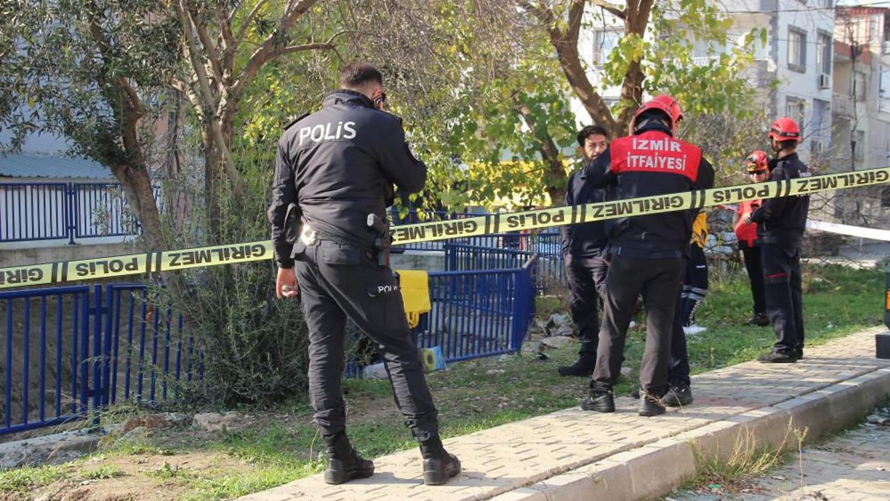 Zeytin toplarken canından oldu