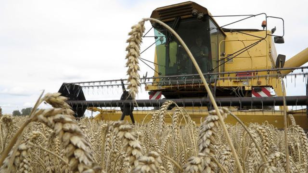 Başvuru için son gün 31 Aralık