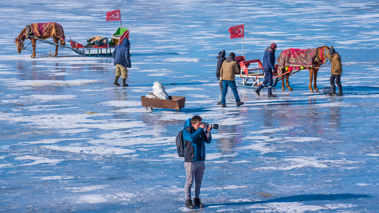 Çıldır Gölü'ndeki atlar soğuklara karşı üzerlerine örtülen halıyla korunuyor