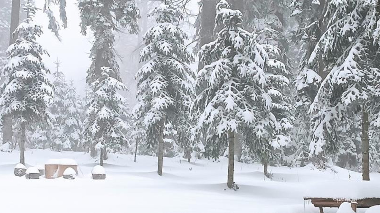 Düzce'de kar kalınlığı 25 santimetre