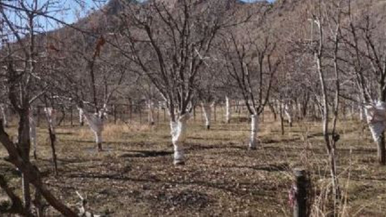 Köyü basan tavşanlara torbalı önlem