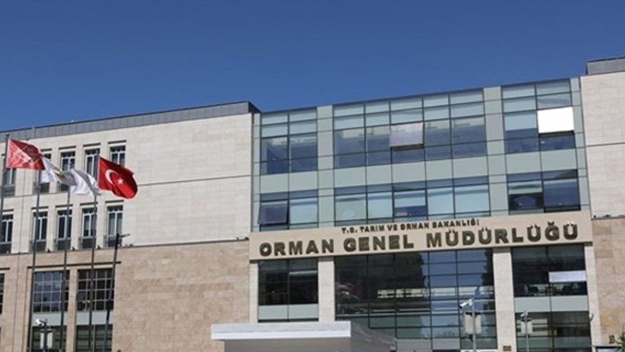 Orman Genel Müdürlüğü 109 sözleşmeli personel alacak