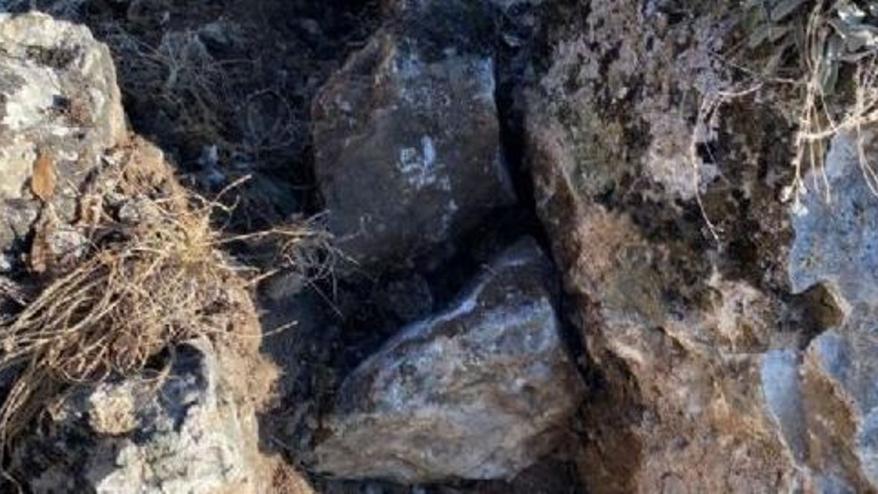 Dağda hazine arayanları jandarma bastı