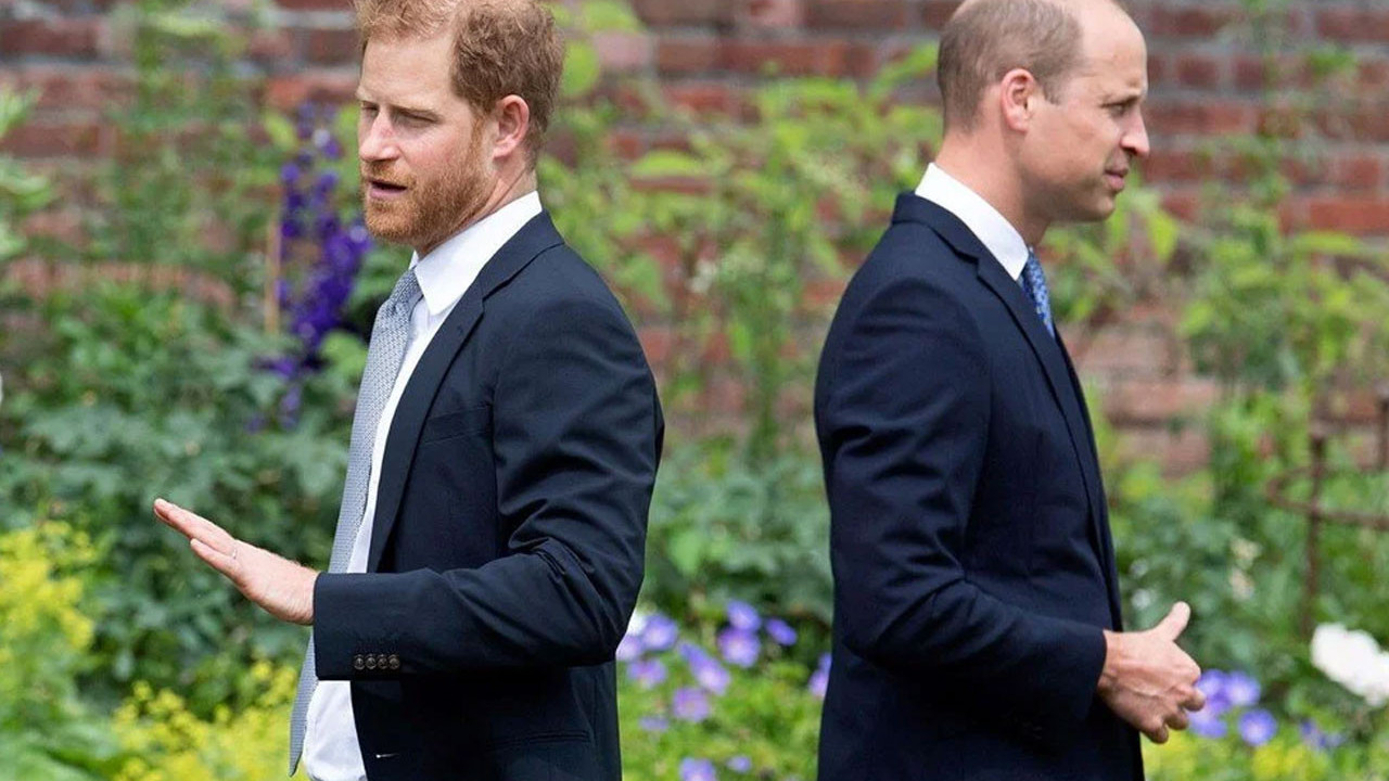 Prens Harry: Prens William beni dövdü