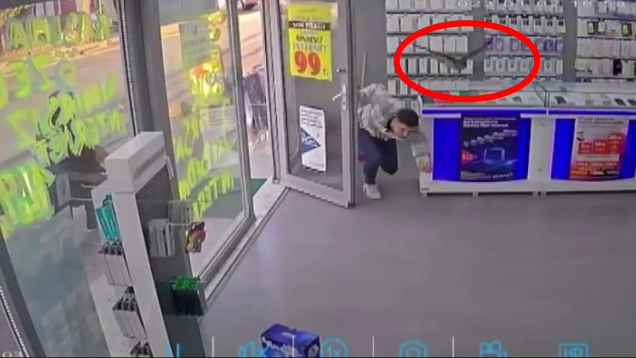 Esnaf neye uğradığını şaşırdı. Dükkana dalan atmaca...