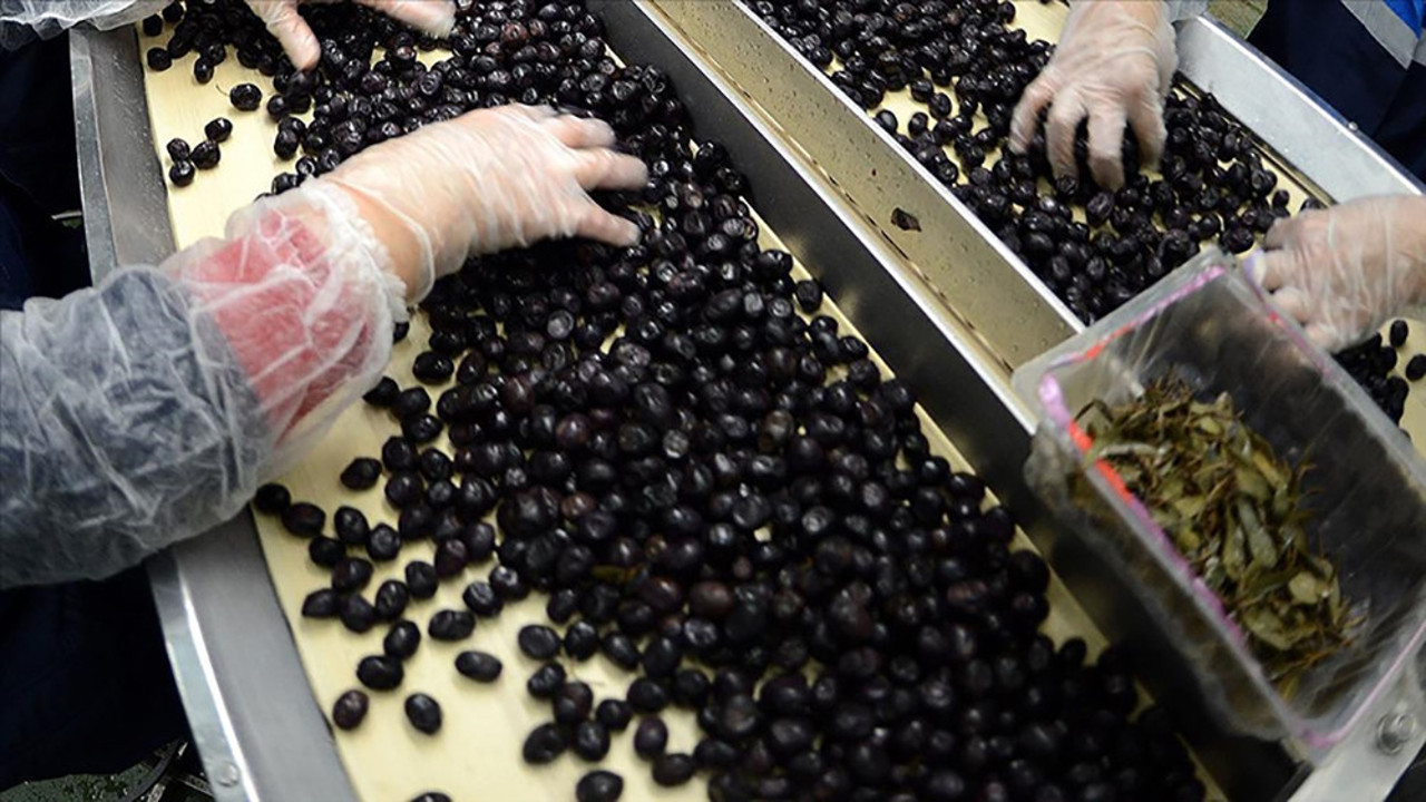 Marmarabirlik’ten 61 milyon liralık ödeme