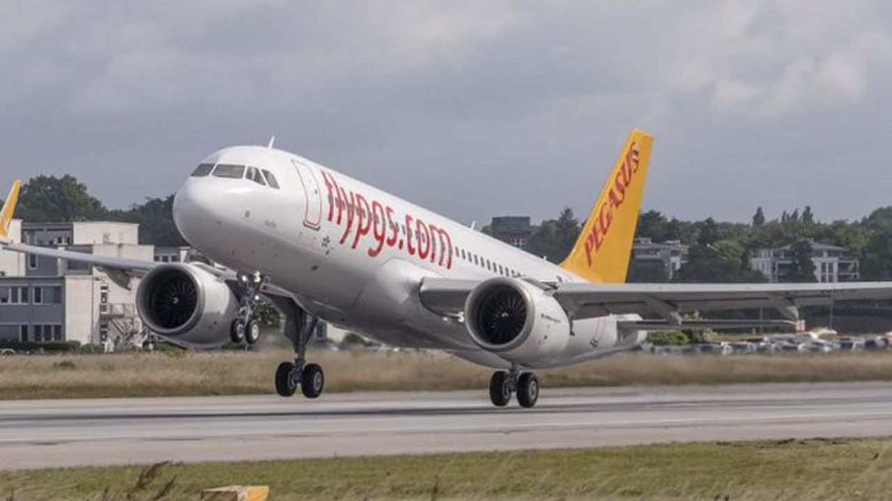 Sabiha Gökçen Havalimanı'nda uçak tavşana çarptı