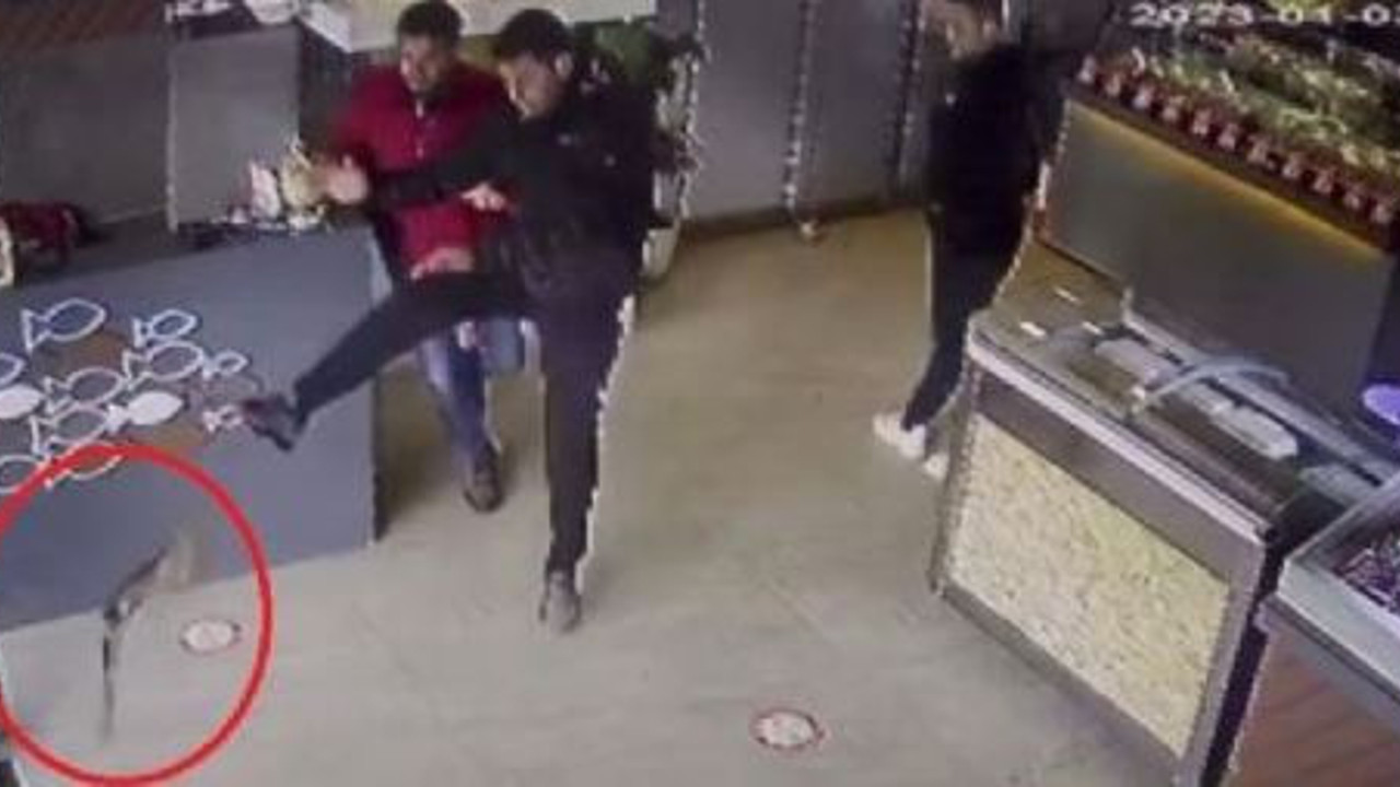 Tekirdağ'da kumruyu avlayan atmaca balıkçıya daldı