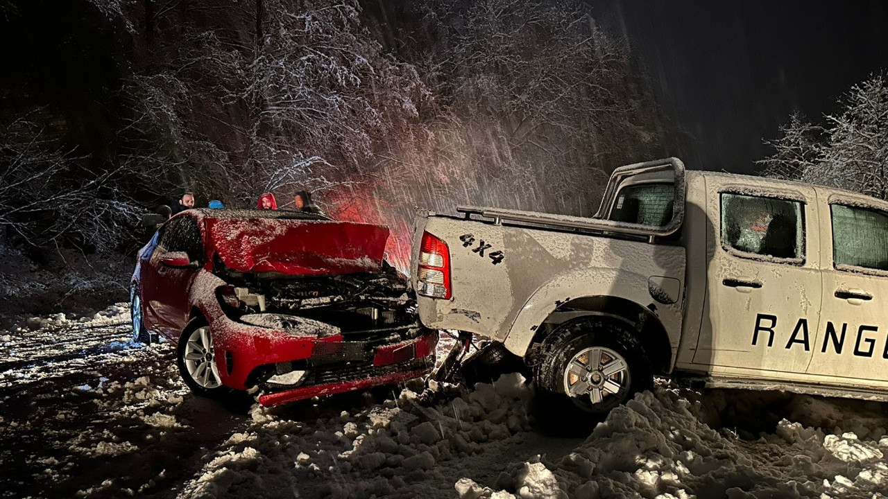 Artvin'de aniden bastıran kar, kazalara neden oldu