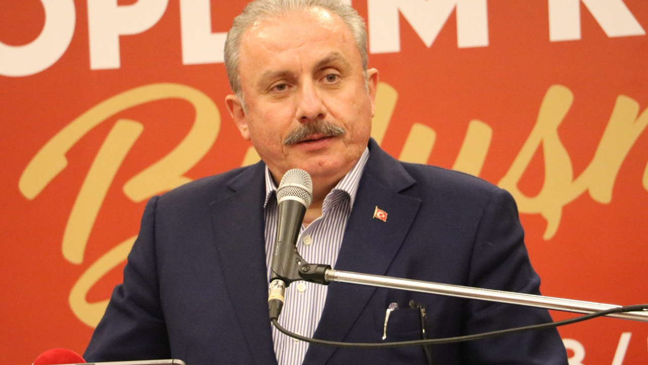 TBMM Başkanı Şentop'tan Prens Harry’ye: Avrupalı beyaz çocuk, sen kimsin?