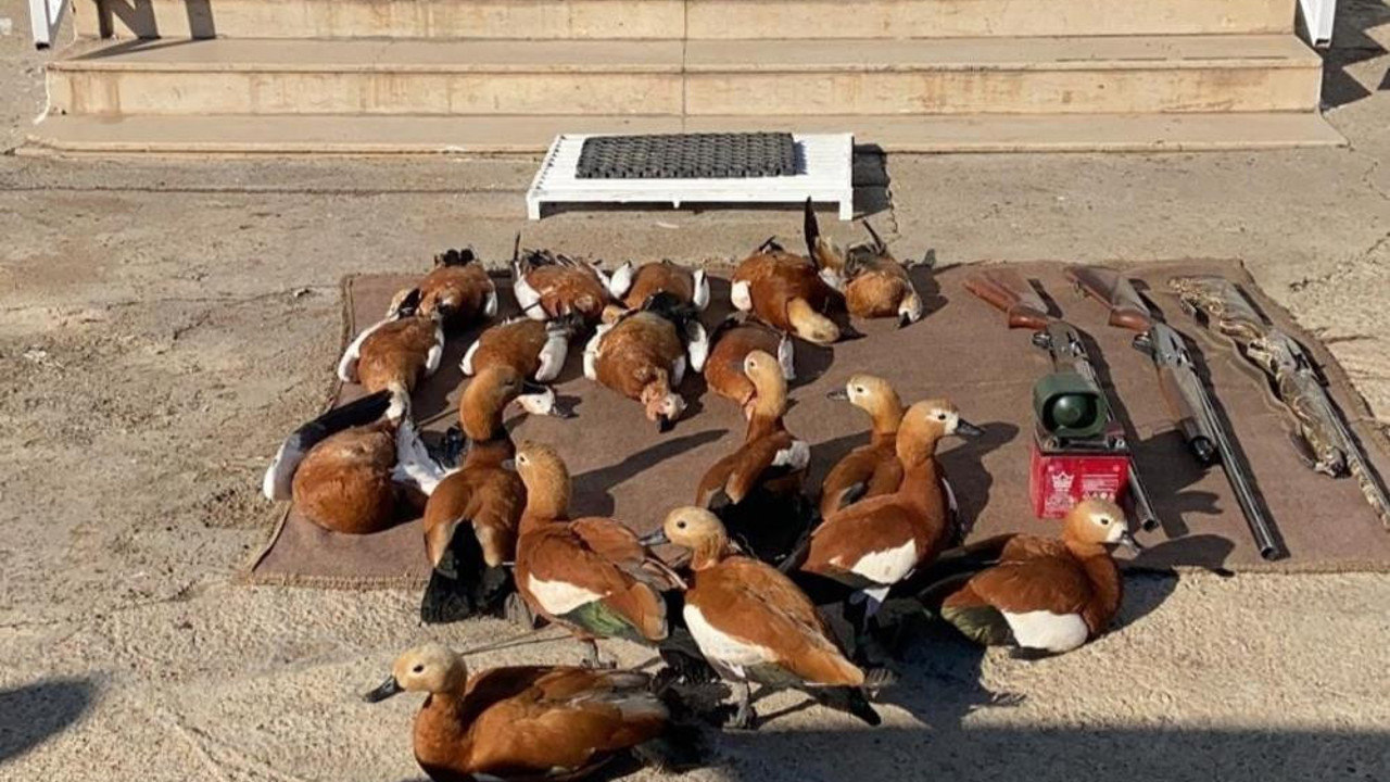 Kaçak avlanmaya 50 bin lira ceza