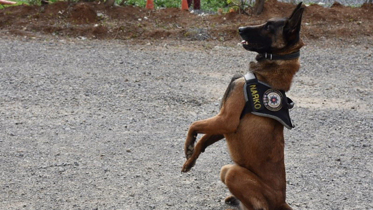 Hakkari'de dere yatağına gizlenmiş 56 kilogram uyuşturucu ele geçirildi