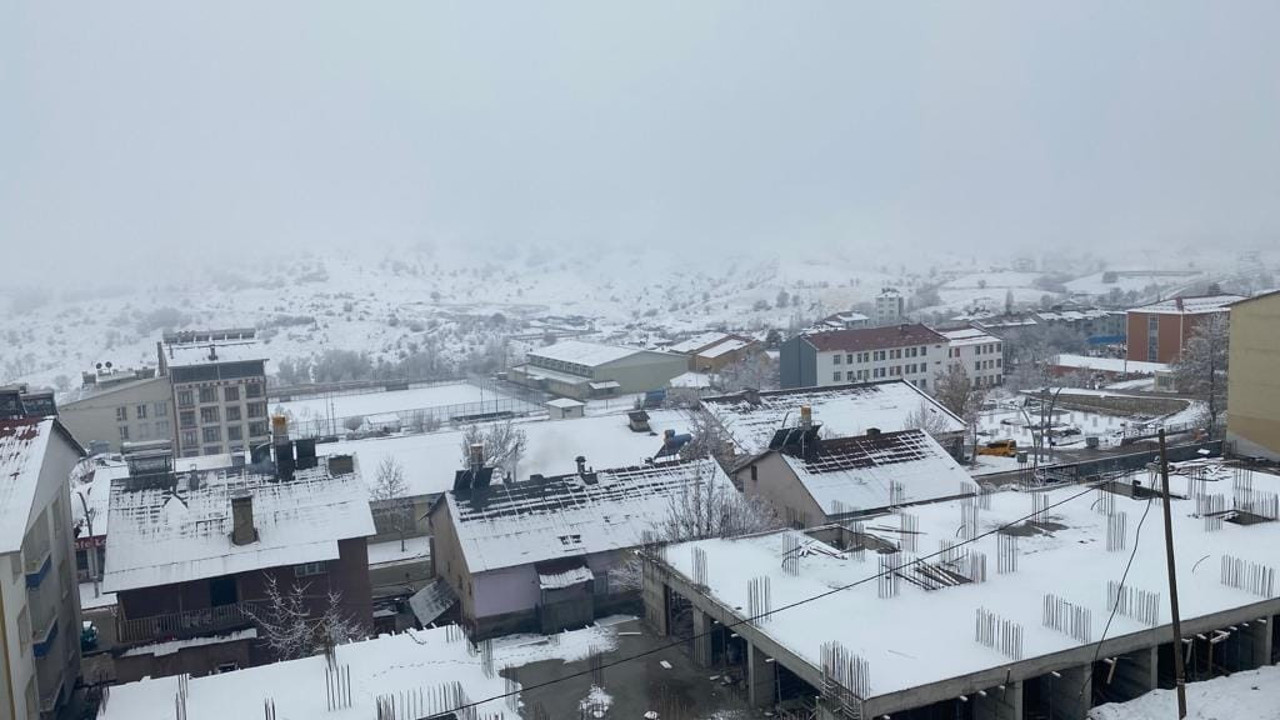 Hozat'ta kuduz karantinası