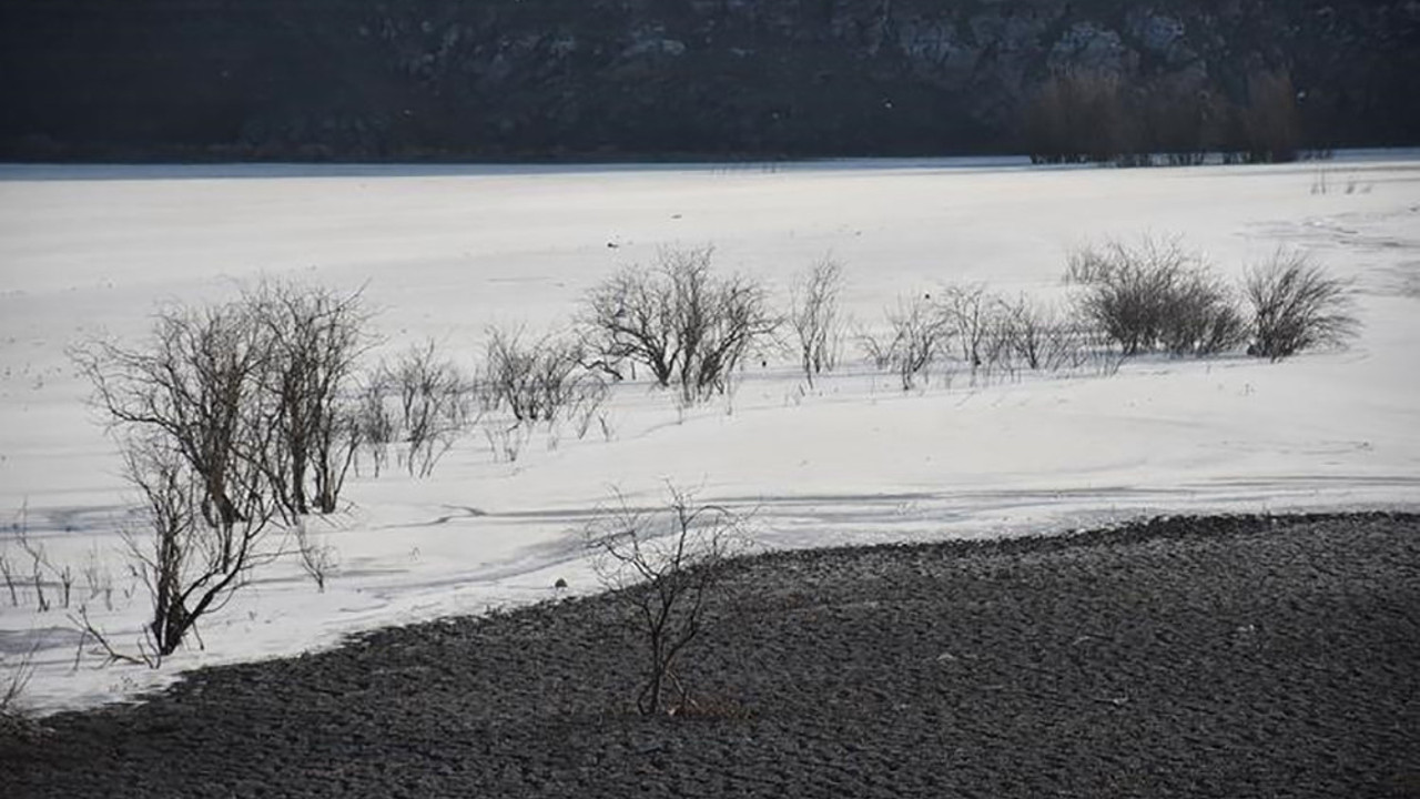 Doğu Anadolu'da dondurucu soğuklar etkili oldu