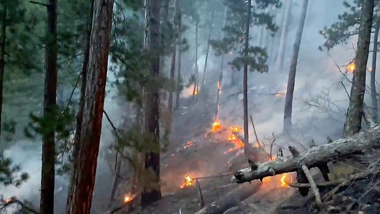 Denizli'deki orman yangını kontrol altına alındı (11 Ocak 2023)