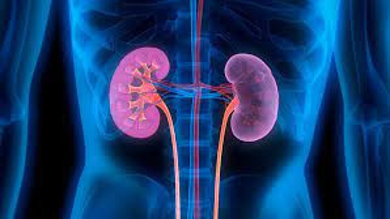 İşte böbrek taşı düşürten kan grubu