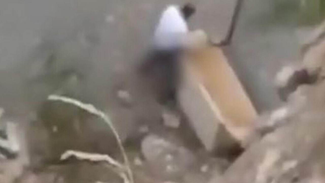 Köpeğe cinsel istismara 1,5 yıl hapis