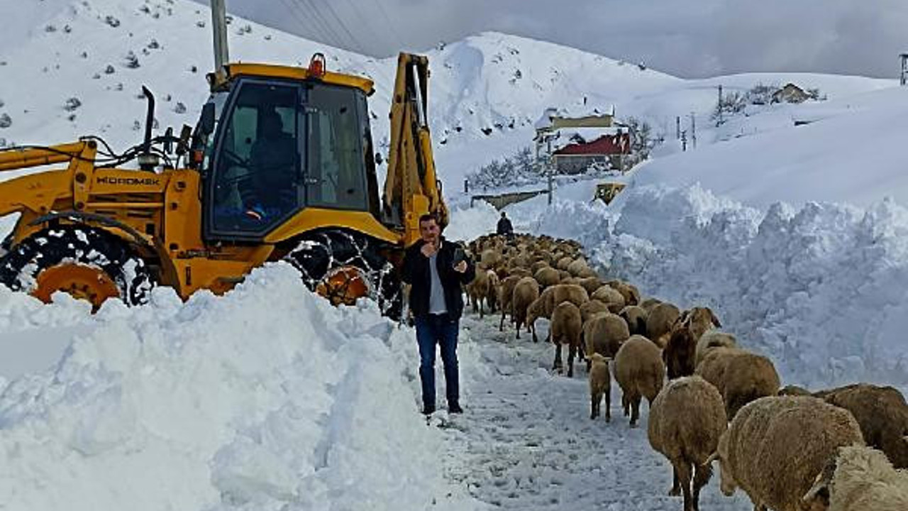 Yaylada 300 küçükbaş ile 3 gündür mahsur kaldılar