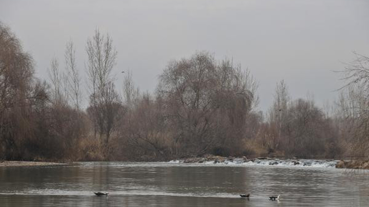 Bir nehir için daha alarm verildi: 3 balık türü yok olacak