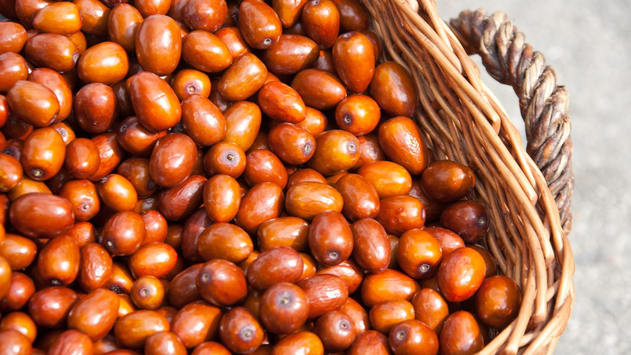 İğdenin faydaları neler? İğde neye iyi gelir?