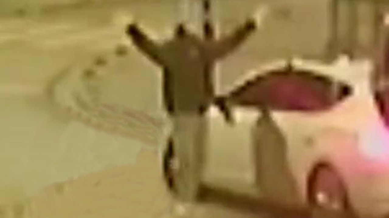 Kuyumcuyu soyan hırsızlar göbek atarak kutlama yaptı. ‘Pes’ dedirten görüntü