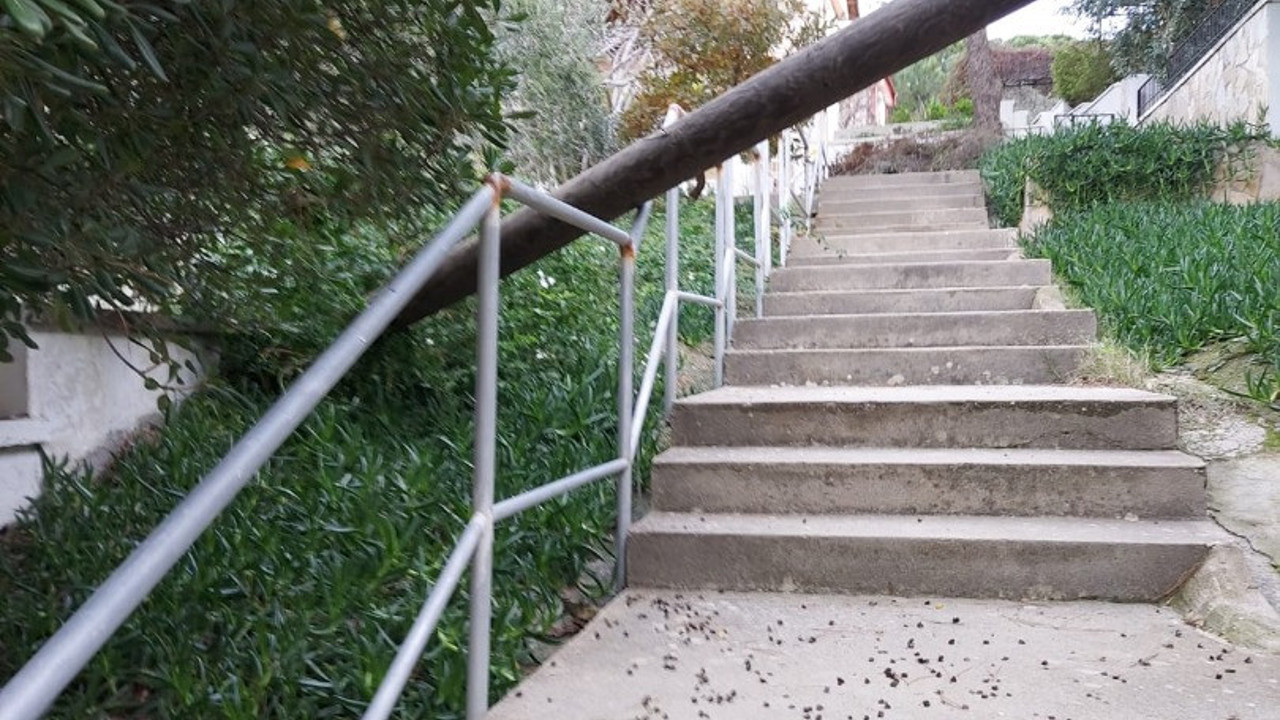 İzmir’de şiddetli fırtına ağaçları devirdi