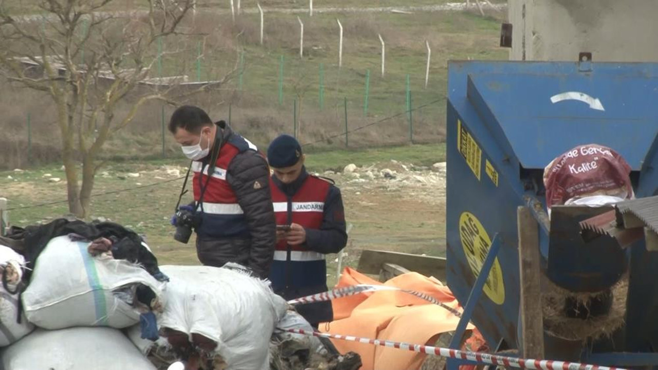 Çoban yem makinesine düştü