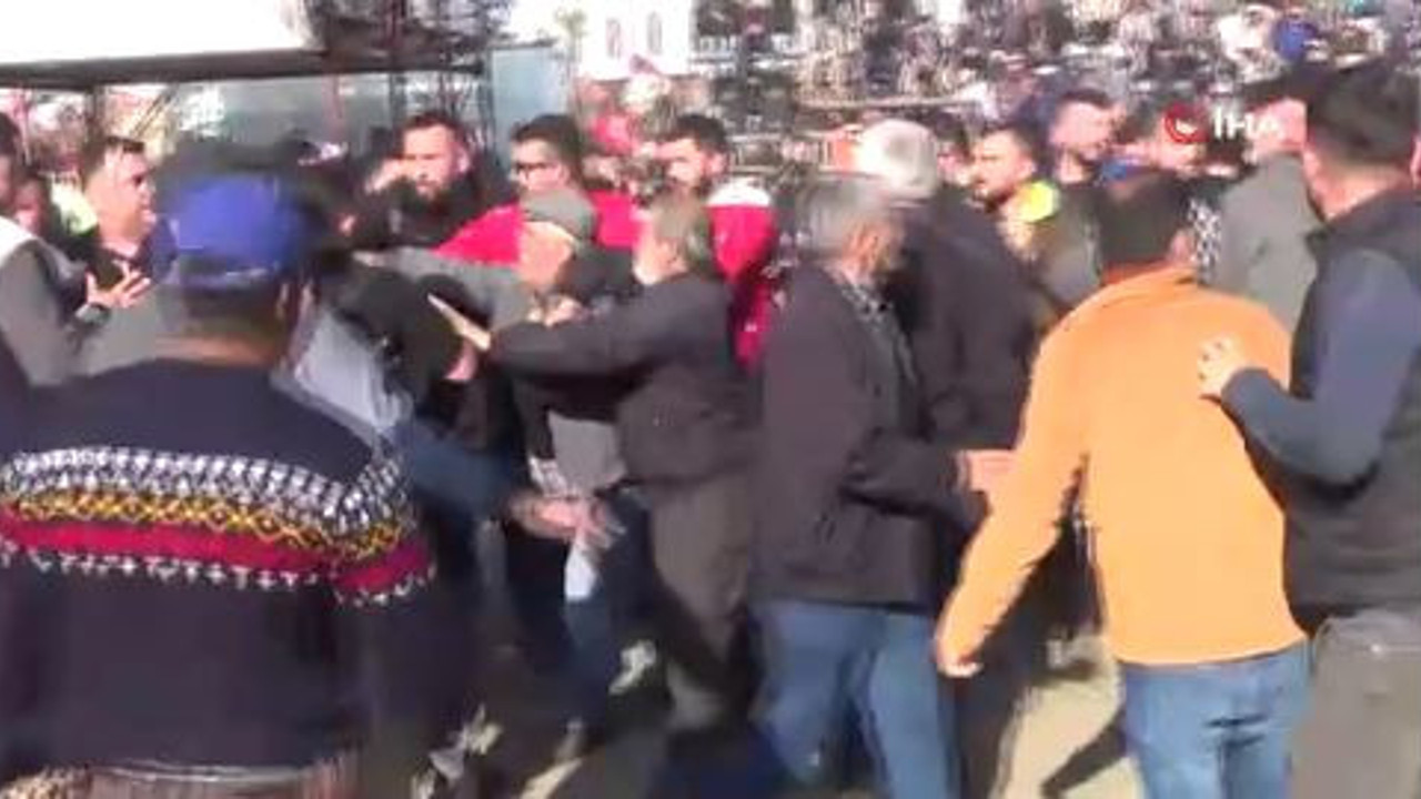 Develer güreşti sahipleri kavga etti