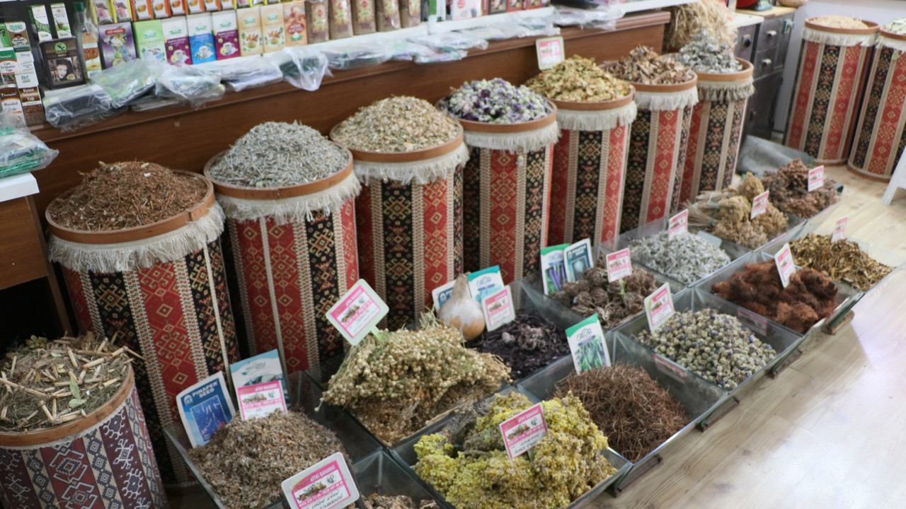 Uzmanı açıkladı. Toz halinde bitkiyi tüketmek daha faydalı