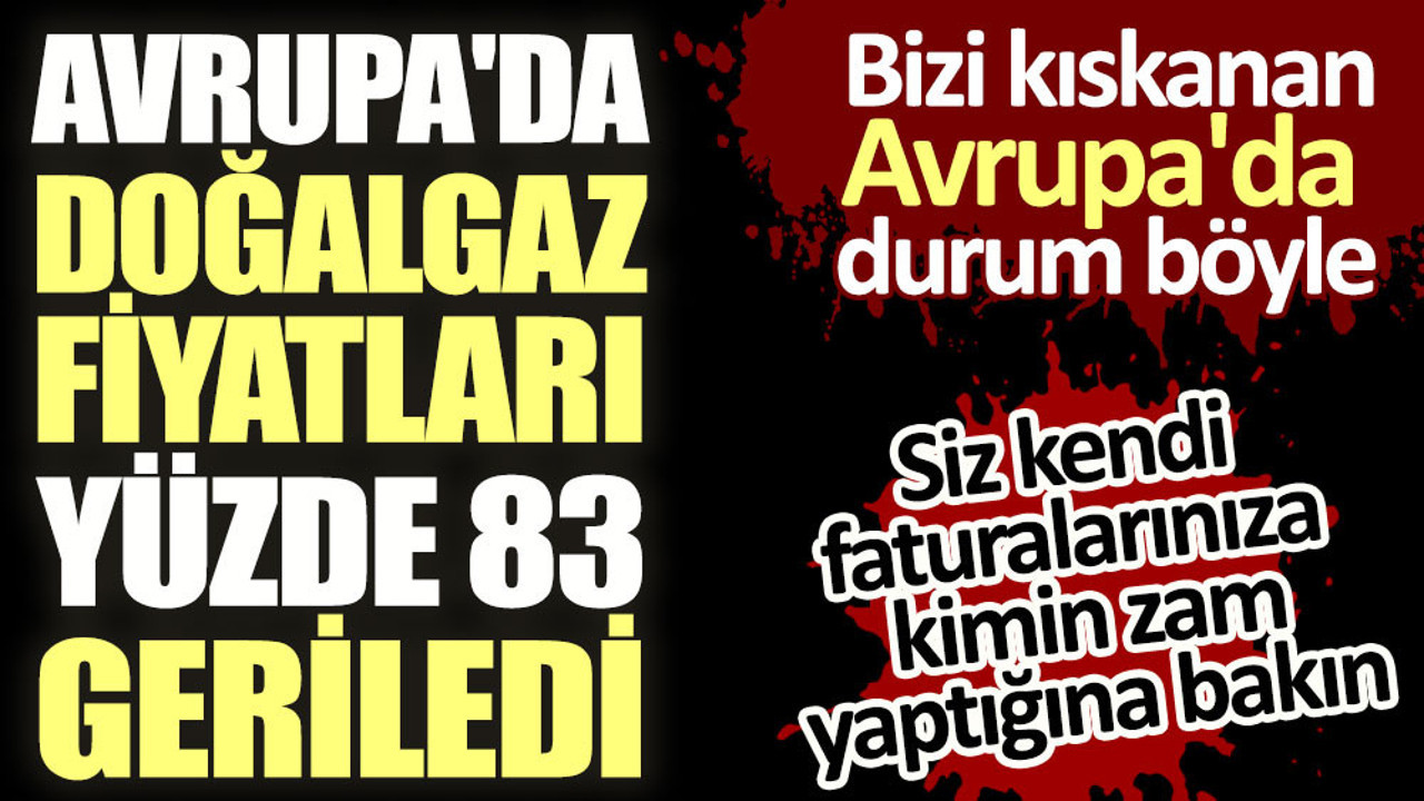 Avrupa'da doğalgaz fiyatları yüzde 83 geriledi. Bizi kıskanan Avrupa'da durum böyle