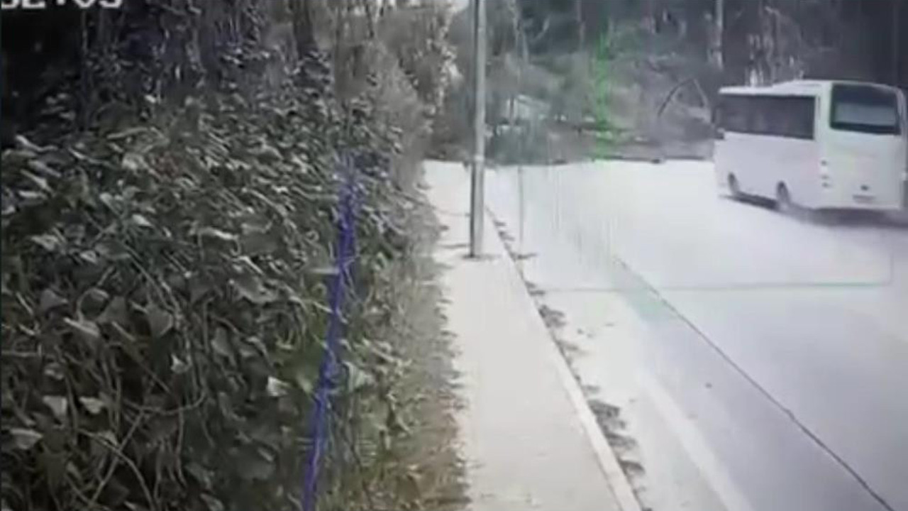 Antalya'da fırtınanın devirdiği ağaç faciaya sebep oluyordu