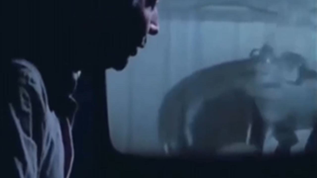 Şener Şen'in ünlü filminde siyasilerin vatandaşı 'Milli Beraberlik' diye kandırdığı sahnesi