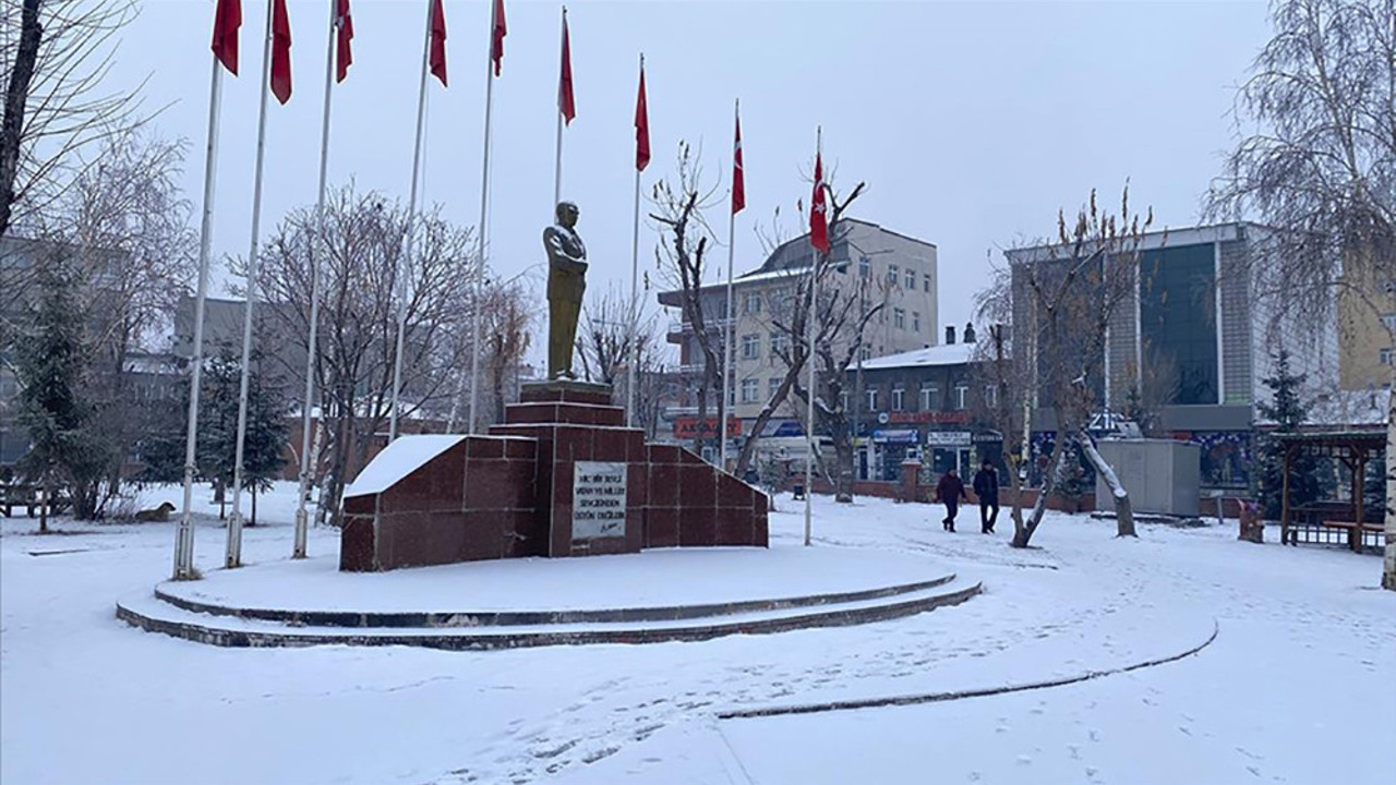 Doğu Anadolu'da kar yağışı etkili oluyor