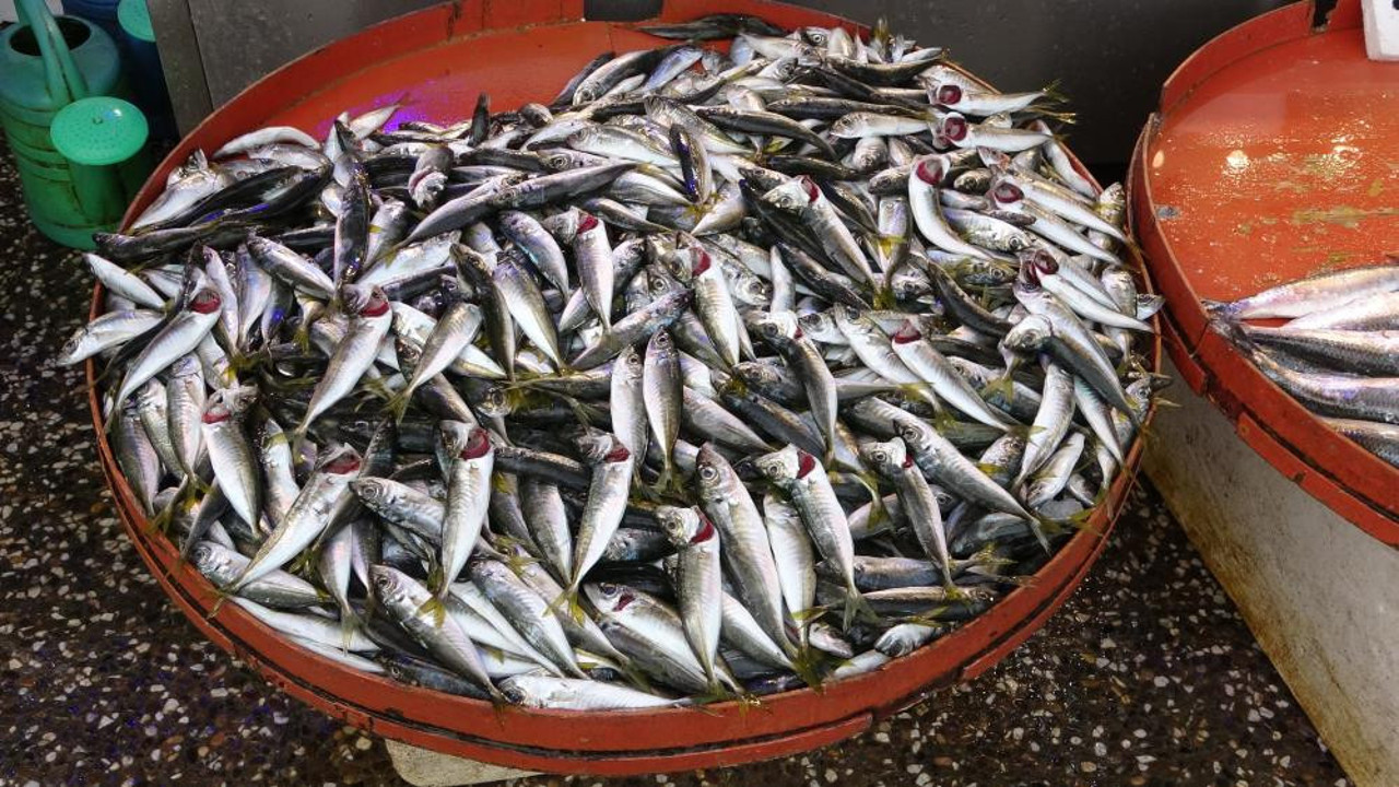 İstavrit fiyatıyla şaşırttı