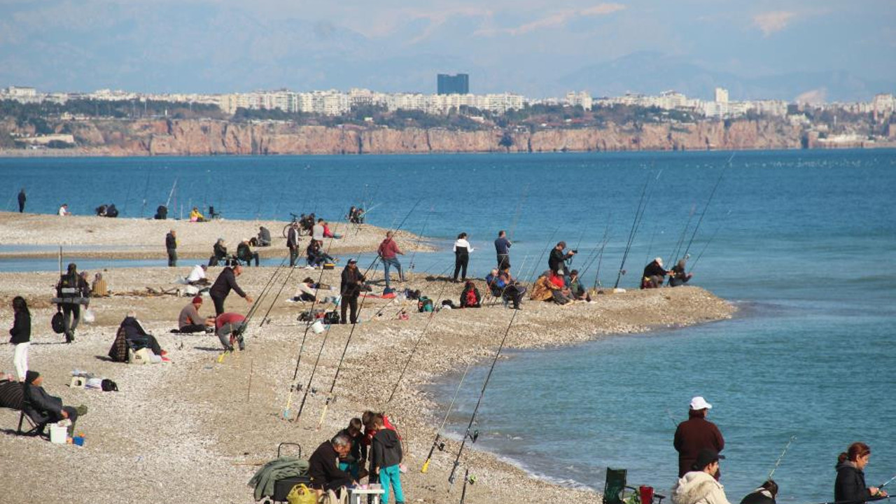 Antalya'da oltasını alan sahile koştu. Sahilde çupra akını