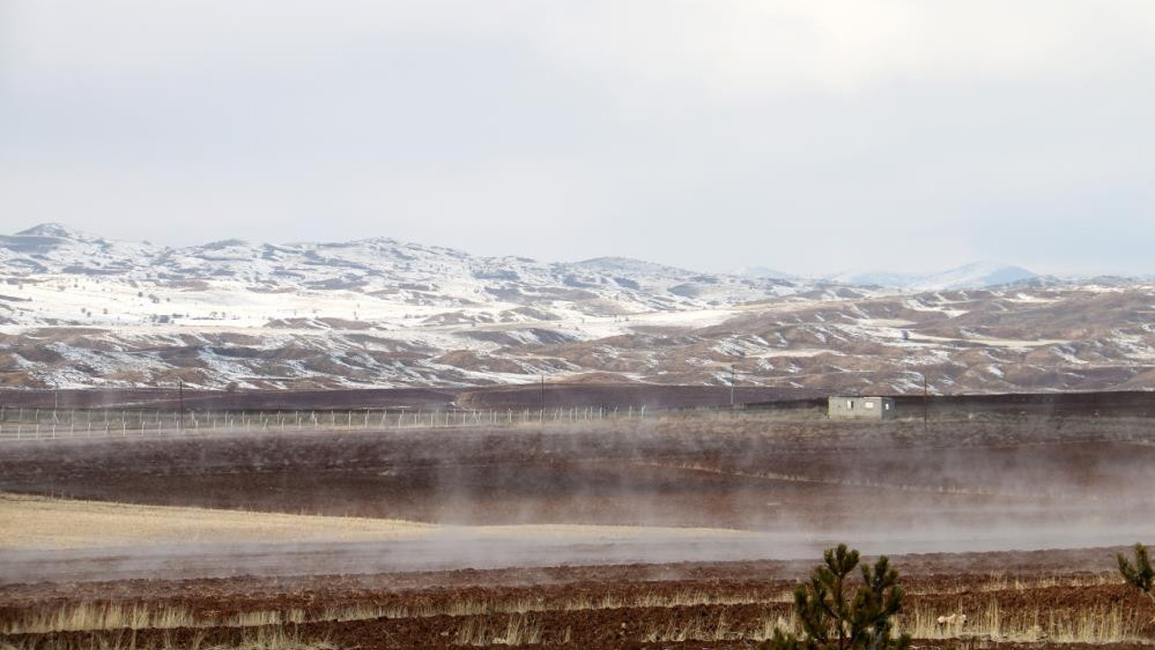 Esrarengiz tarla merak konusu oldu