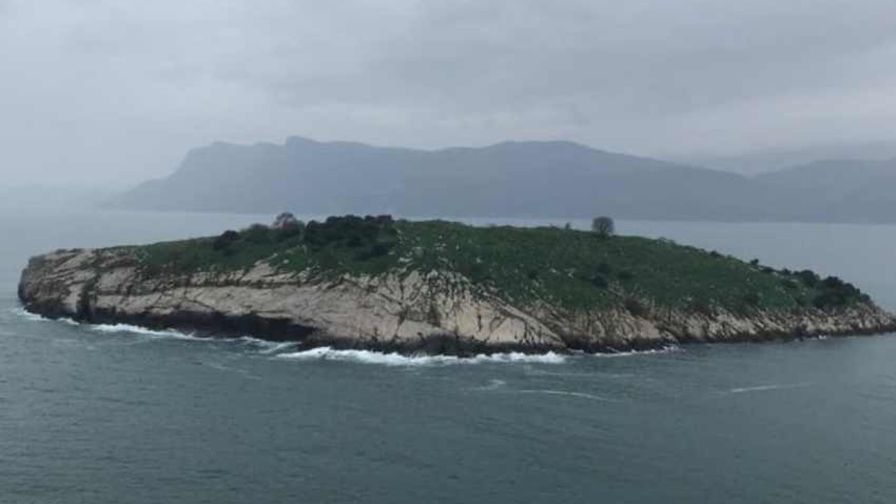 Muğla'da satılık kelepir adanın fiyatı açıklandı