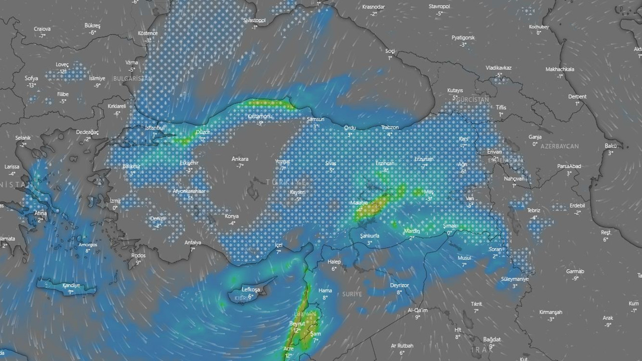 Herkesi yatağında yakalayacak. Yarın ki bir şey değil sinek vızıltısı
