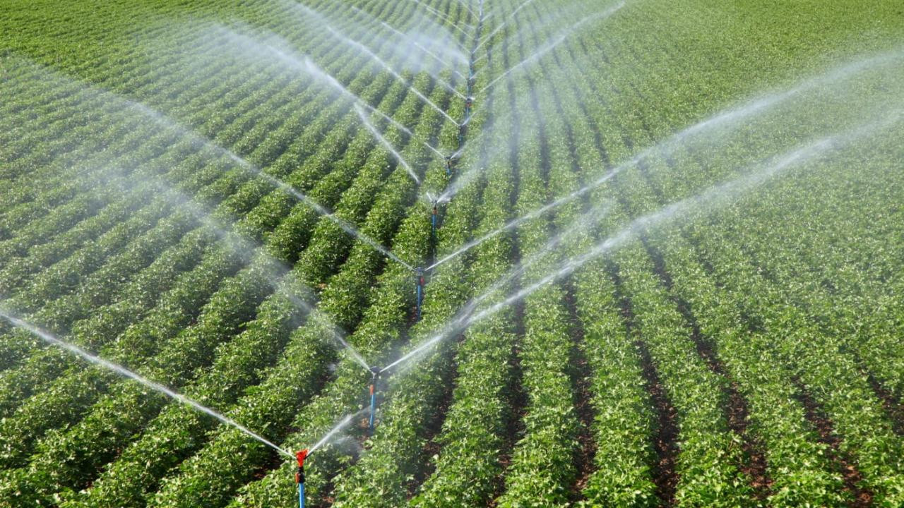 ABD'de tarım dışı verimlilik beklentileri aştı