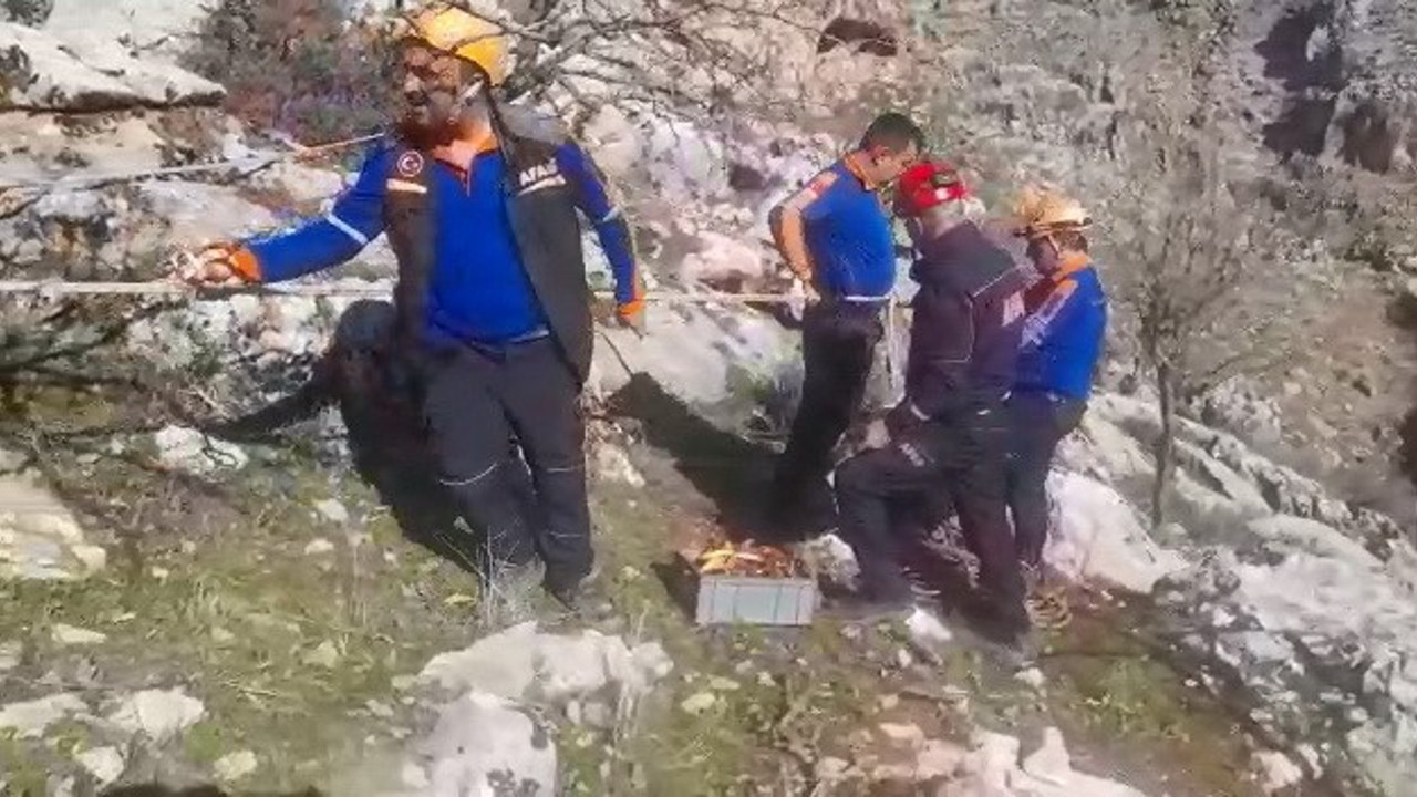 500 metrelik uçurumda keçi operasyonu
