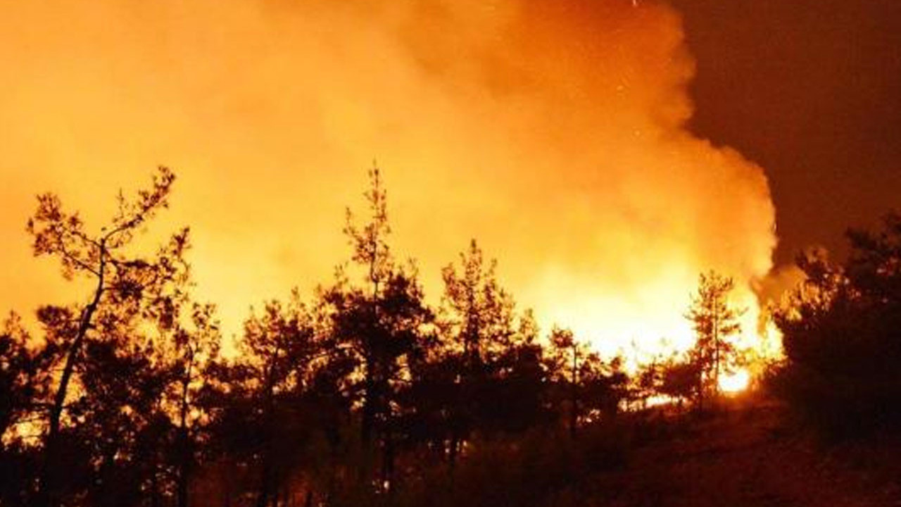 Şili'de orman yangınlarında hayatını kaybedenlerin sayısı 13'e yükseldi