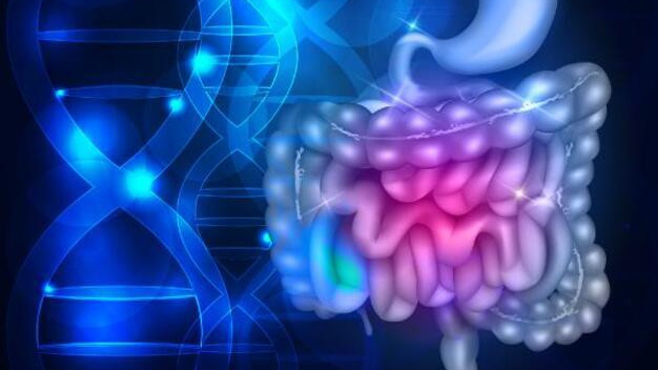 Zayıflık, yorgunluk, kansızlık neyin habercisi?