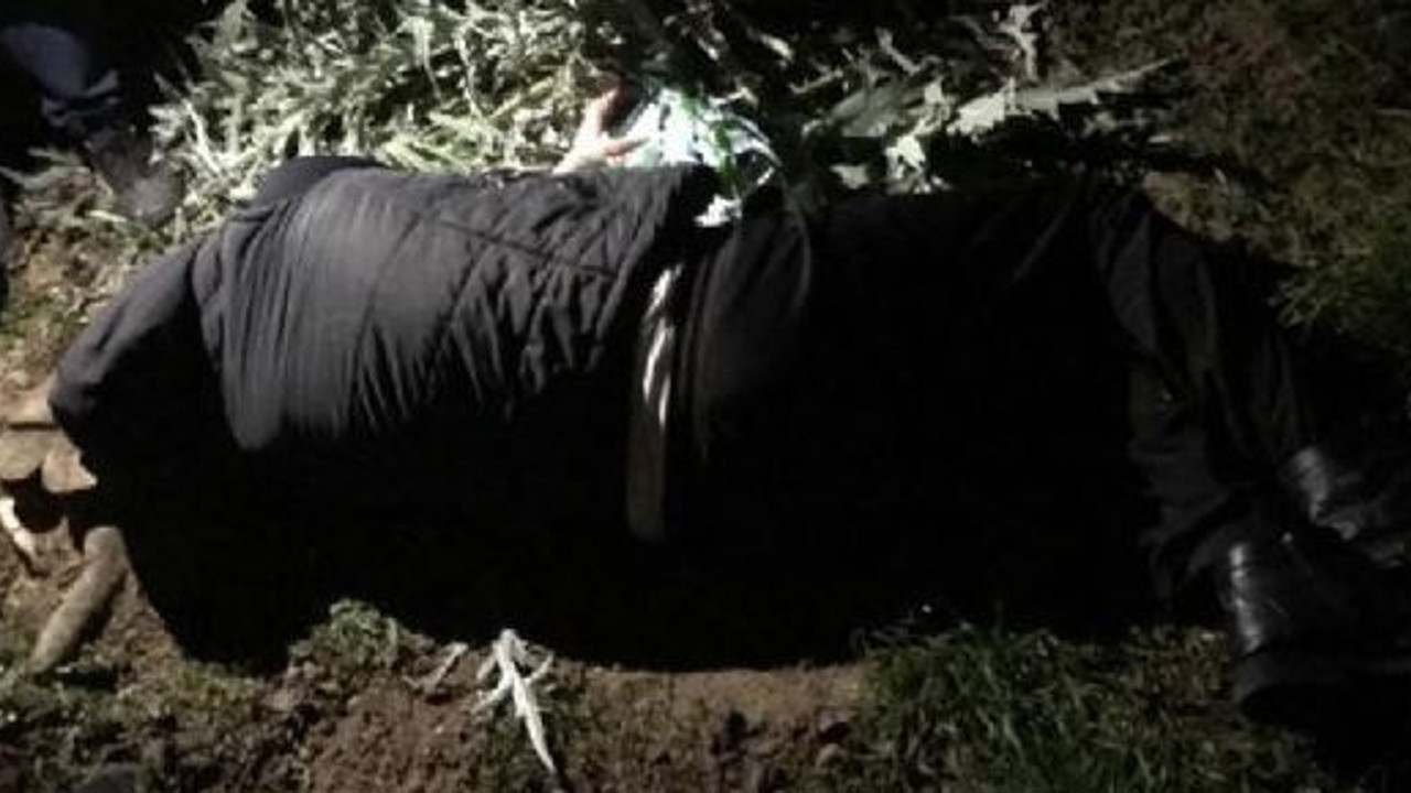 6 metreden düştü özür diledi