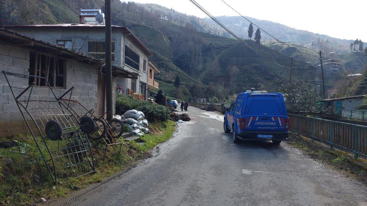 Sokak köpekleri mi öldürdü. Otopsi ortaya çıkaracak