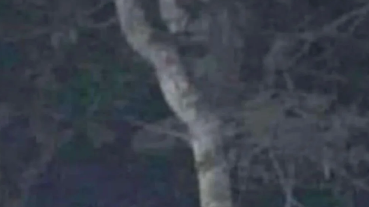 Ülke bu fotoğrafla çalkalanıyor. Bu aluş gibi görünüyor. Her şey mistik