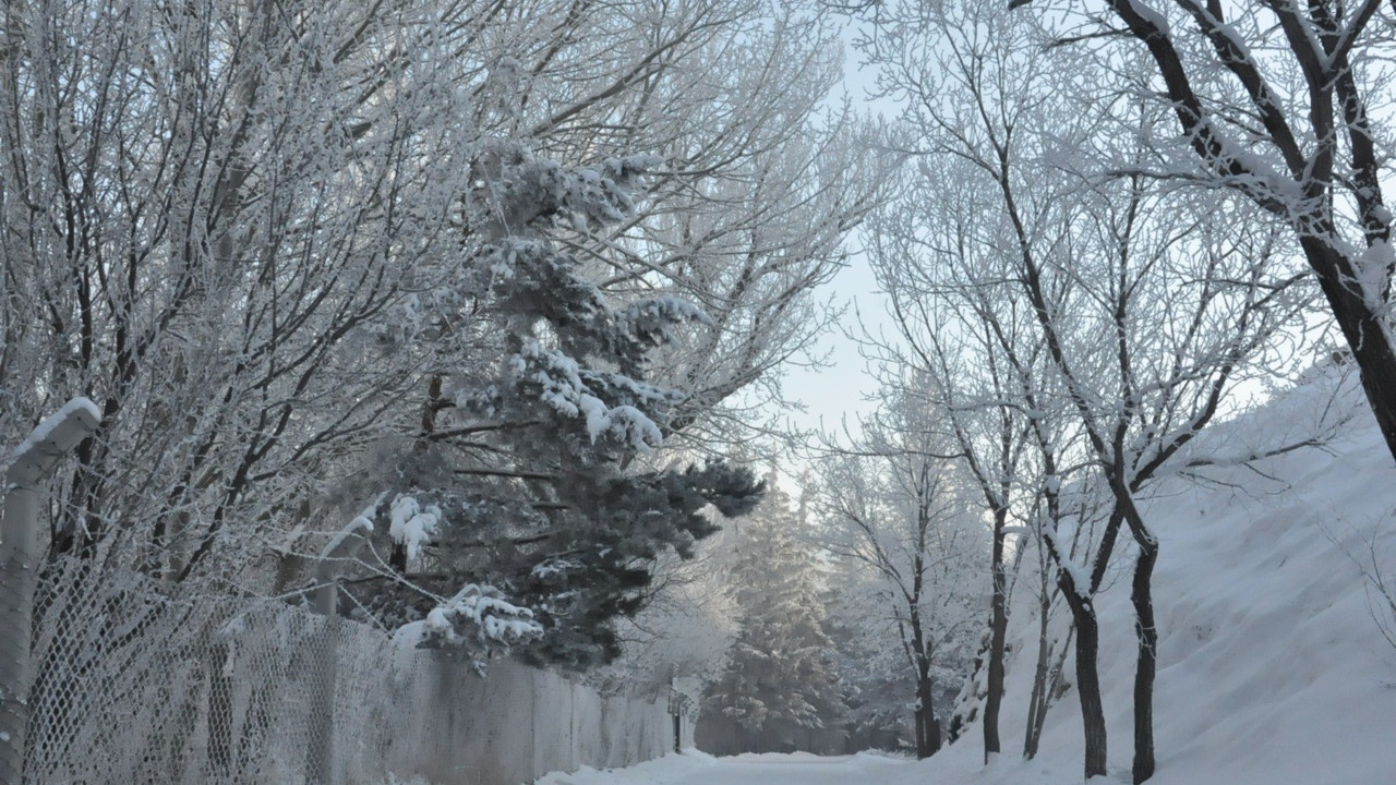 En soğuk il Kars oldu: Eksi 10 dereceyi gördü